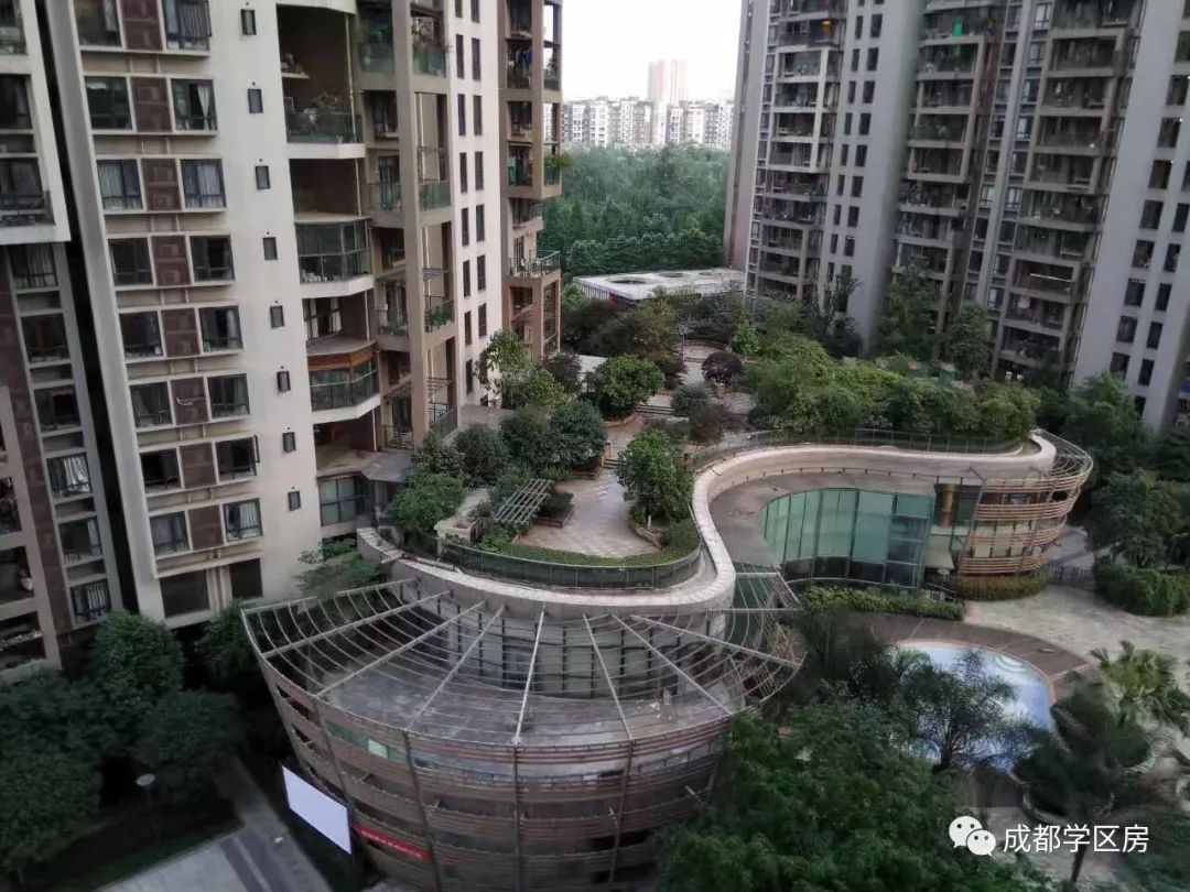 成师附小分校有哪些,成师附小哪个分校最好