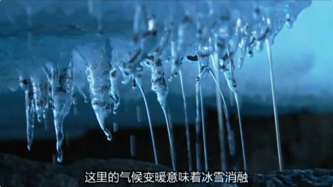 地球妈妈生病了故事,地球变暖冰川融化企鹅