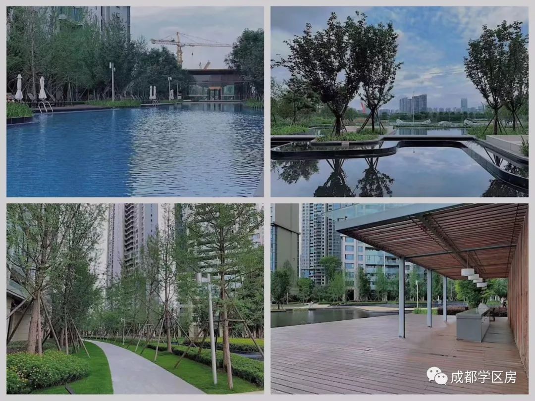 锦晖小学在成都市排名,成都锦晖小学的最新排名