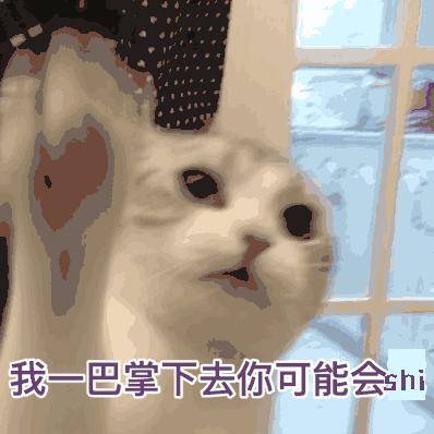 央视曝光真实骗局,央视曝光骗局揭秘