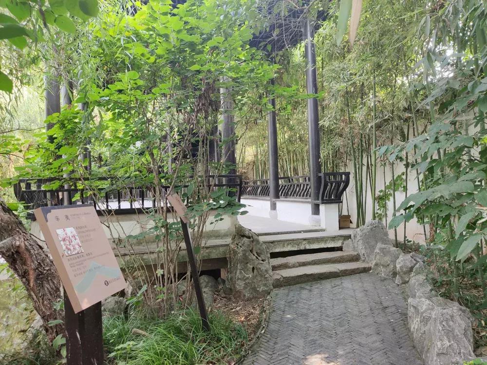 吴鞠通中医馆还看病吗,吴鞠通中医研究院看不孕怎么样