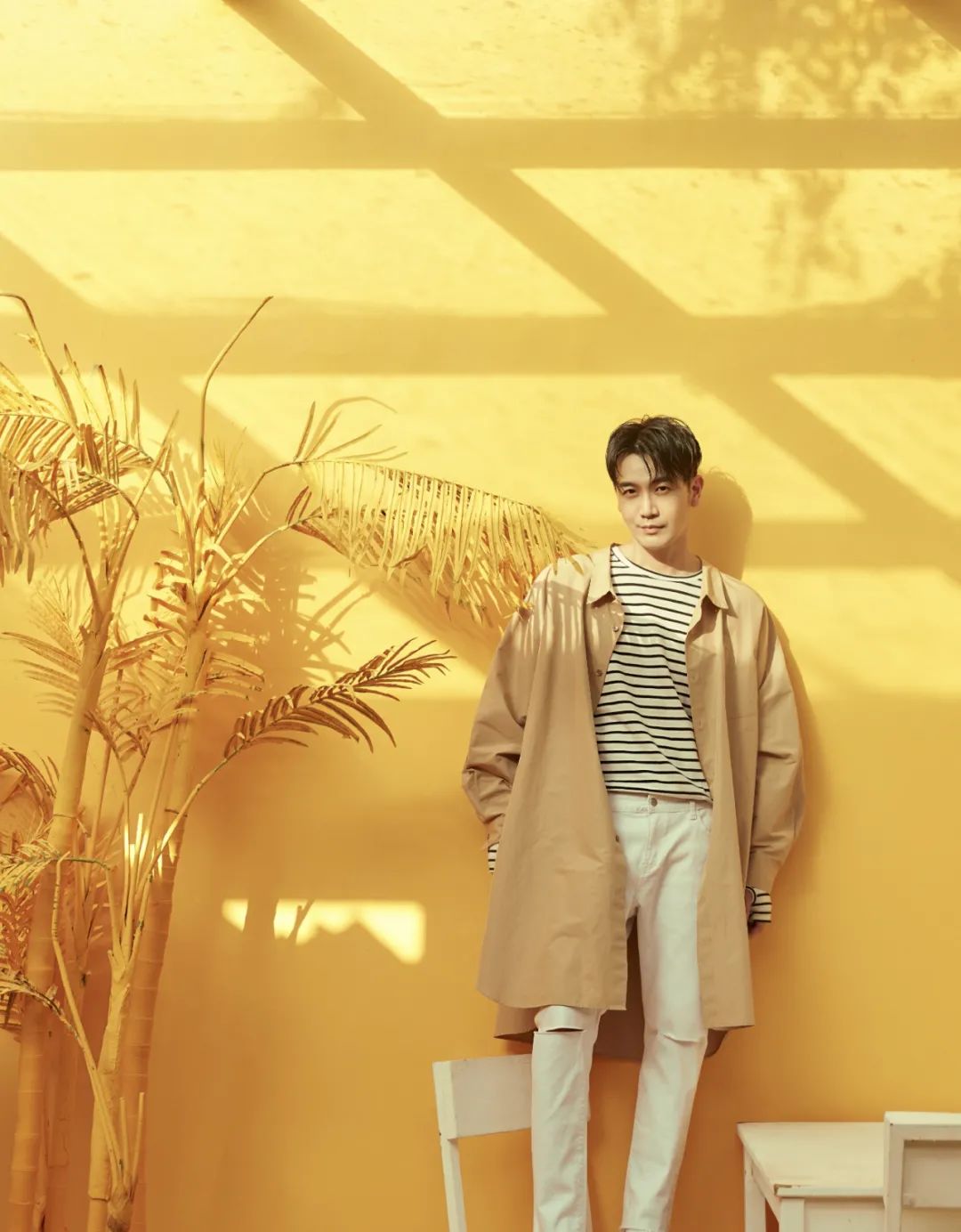 香港张智尧,港星张智尧