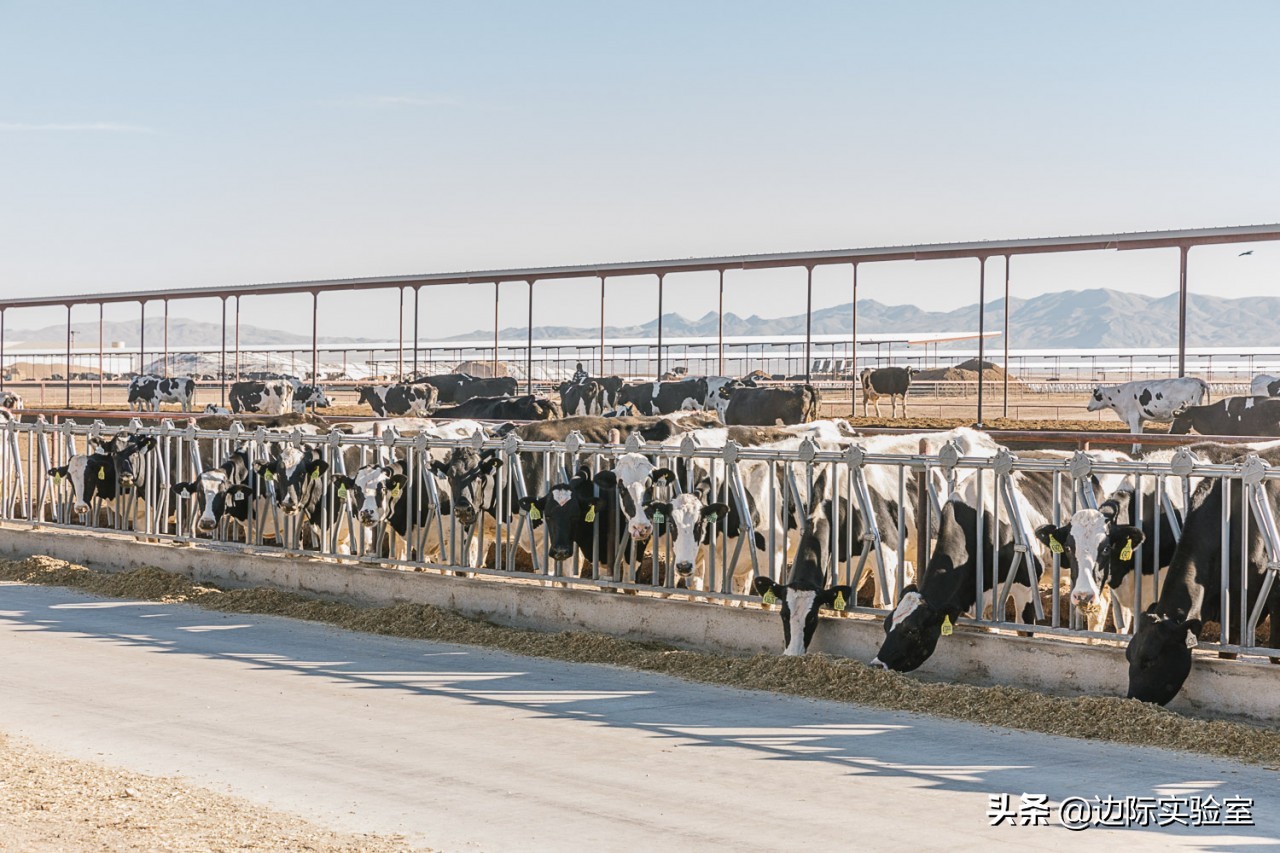 外交关系影响消费者情绪，美澳两国商品在华销量下滑