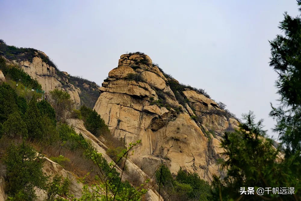 阳春四月迎来春,阳春四月槐花香