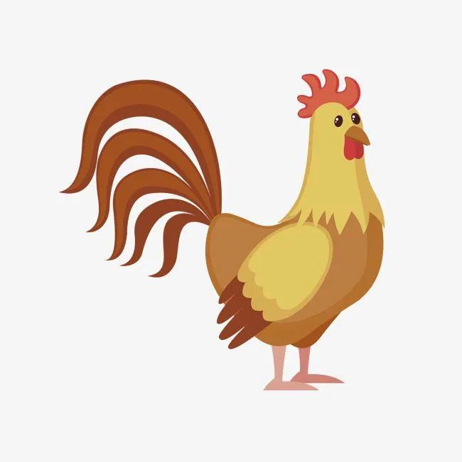 【金龟子讲睡前故事】火帽子扭伤脚