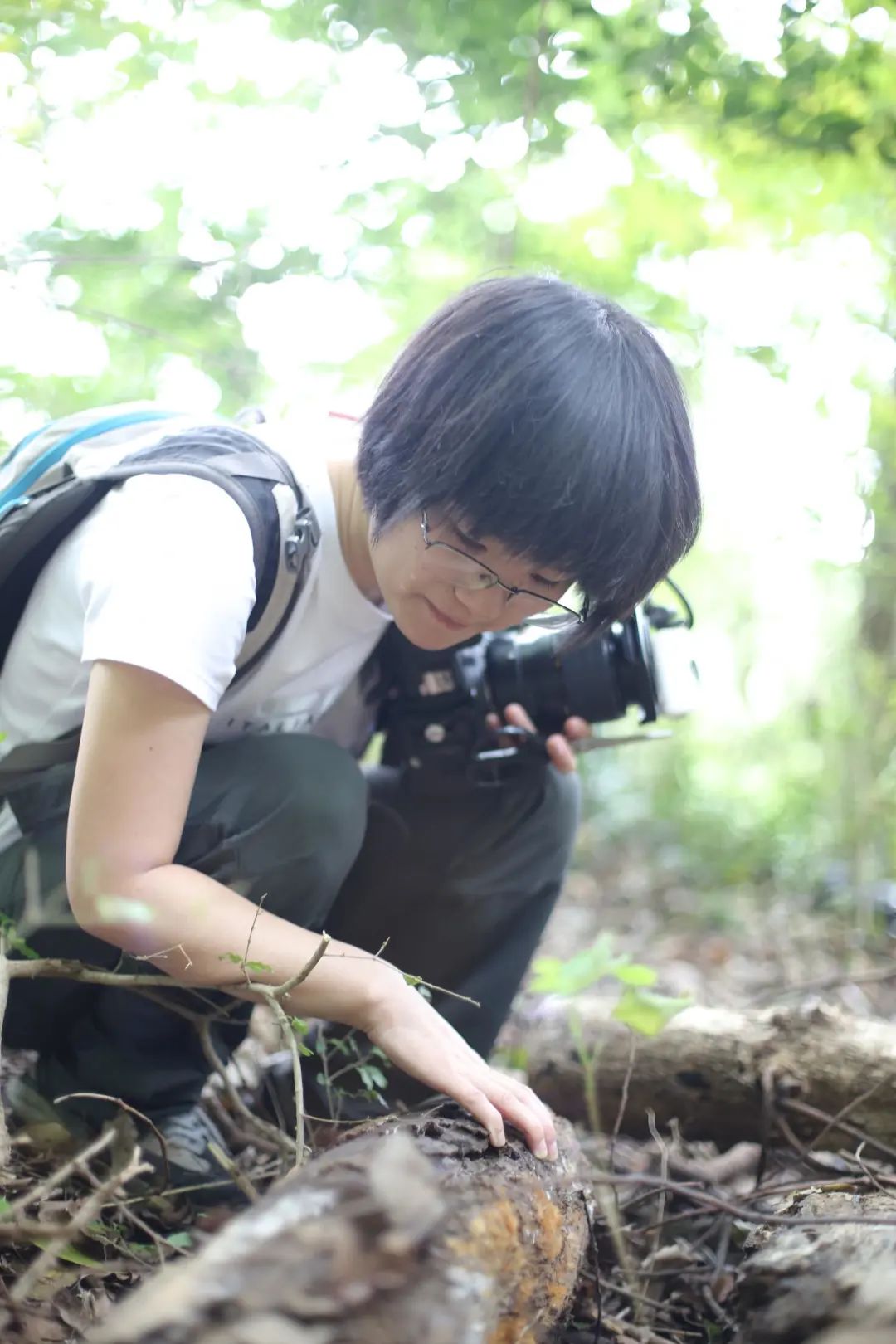 她让20万人爱上一种菌：像西米露，又似咸蛋黄，网友直呼太神奇