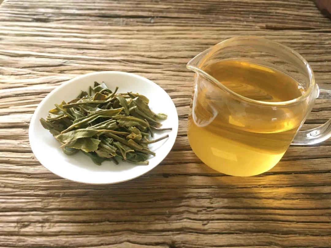 普洱六大古茶山,云南普洱景东茶山