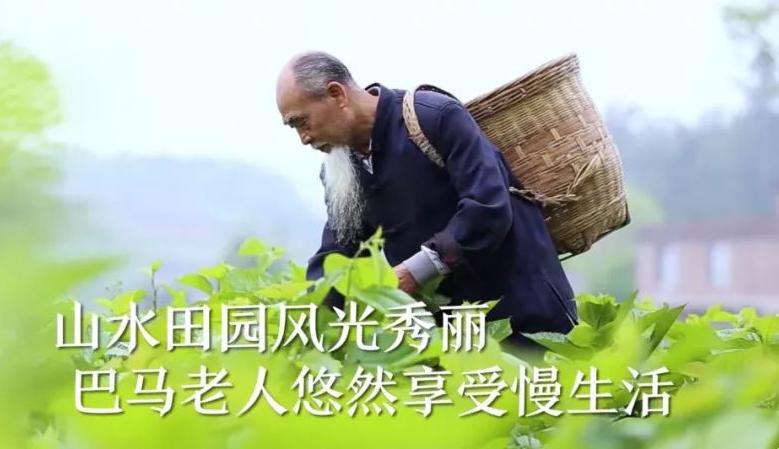 巴马长寿老人趣闻,巴马长寿老人最多的地方