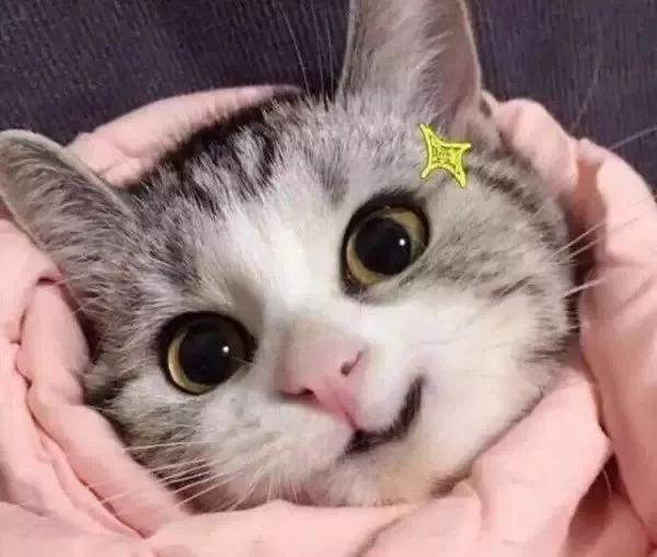 omg今日推荐,omg这些春节档预售你抢到了吗