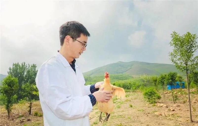 放弃70万的年薪回农村,放弃80万年薪回农村