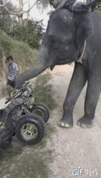 他们被杀之后，依然在爱你