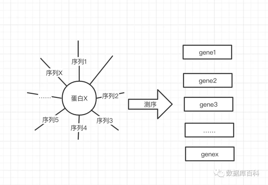 高通量测序技术怎么使用,高通量测序数据分析费用