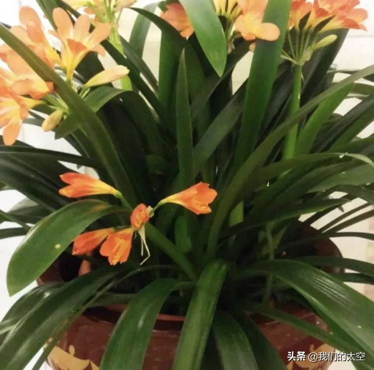 太空是什么色的,太空是什么东西