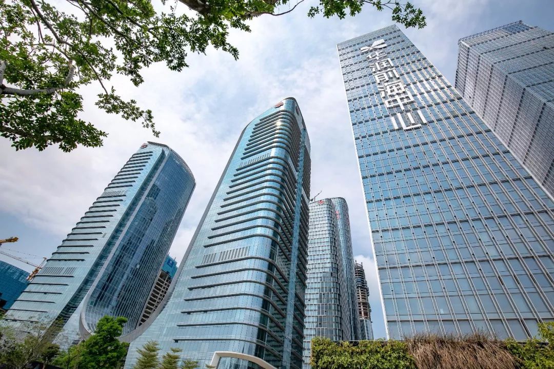 前海梧桐,前海梧桐最新消息