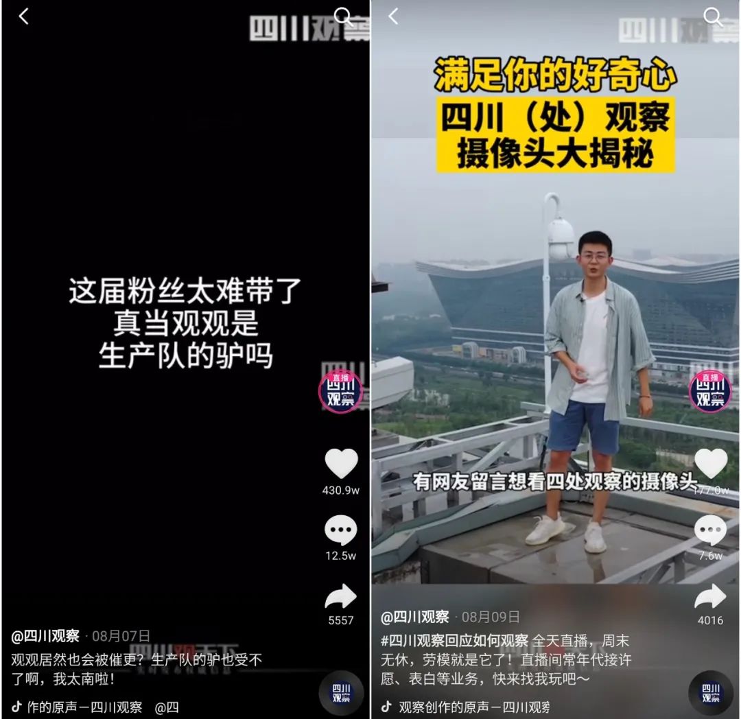 三个月抖音涨粉200万,近两个月涨粉千万的网红