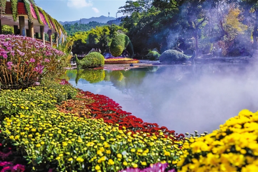 深圳免门票景点推荐,深圳市内近20个景点一票通玩