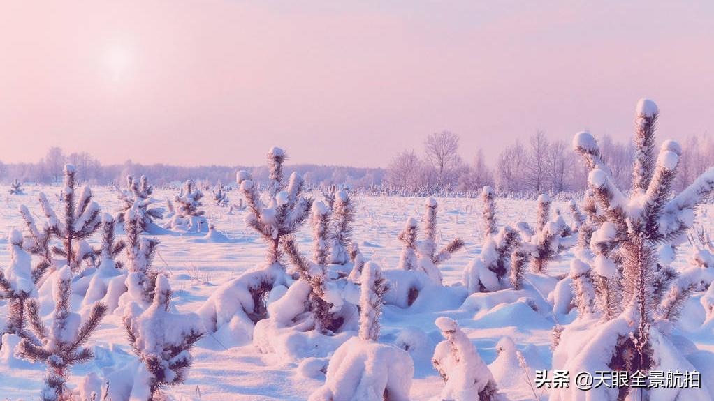 旅游必备东西清单,旅游必带物品清单简单