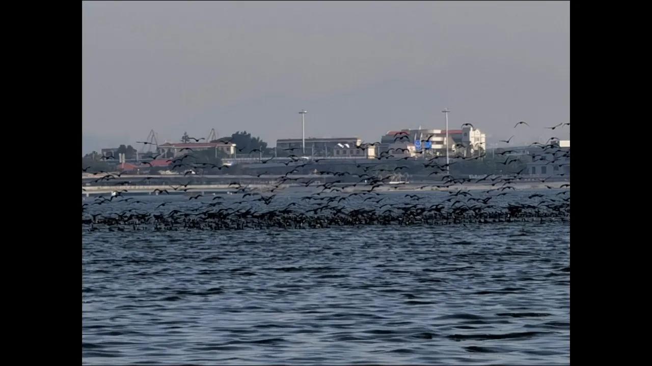 都快忘了怎么去爱一个人,怎么忘了一个不该爱的人