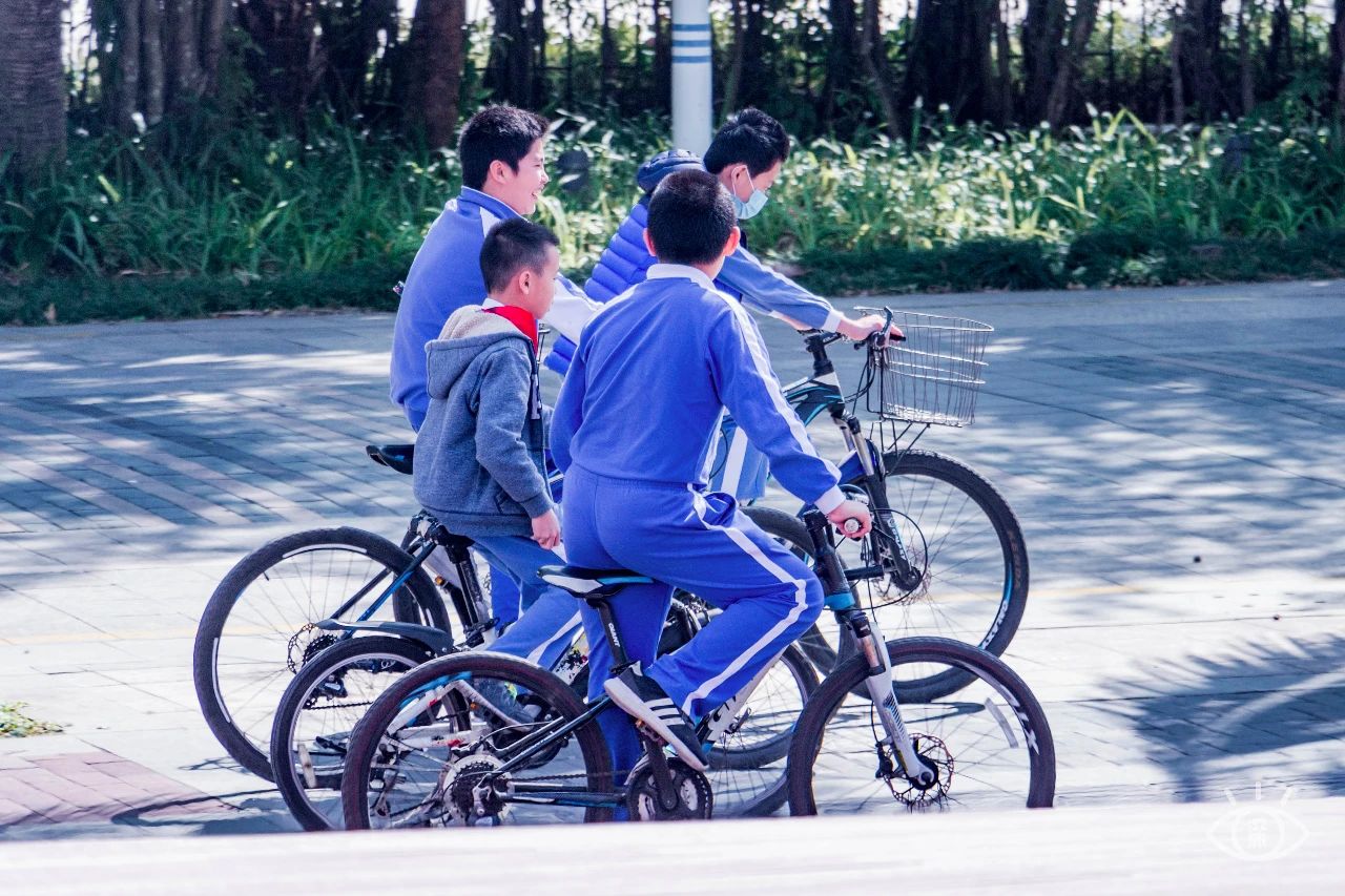 放假在深圳能去哪里玩,放假了可以去深圳的哪些地方玩