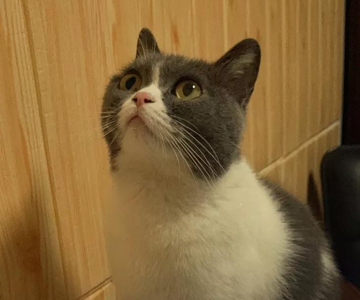 浙江各区教育水平排名,浙江教育水平排行