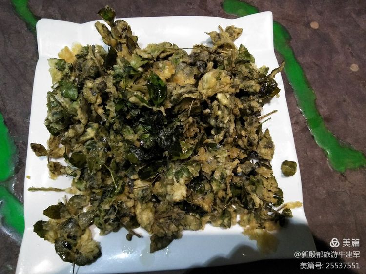 太行一家亲以前的视频,太行一家人最新的视频