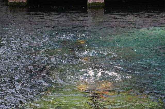 这些东西很受欢迎但真的名不副实！你中枪了吗？