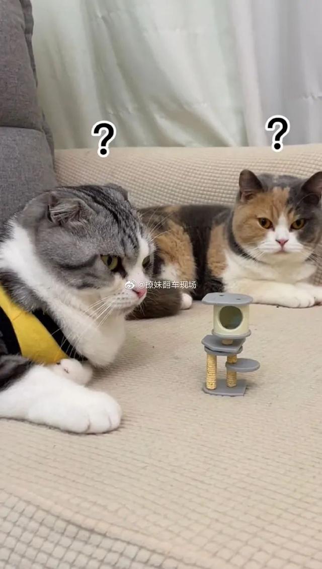 买东西不看价格是什么感受,买东西不看尺寸的后果文案