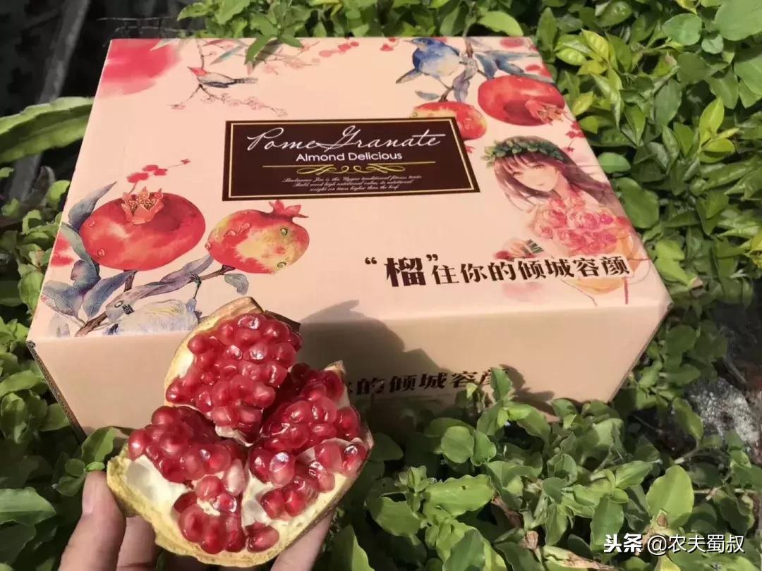 雅诗兰黛清甜汁,可以吃的雅诗兰黛是什么