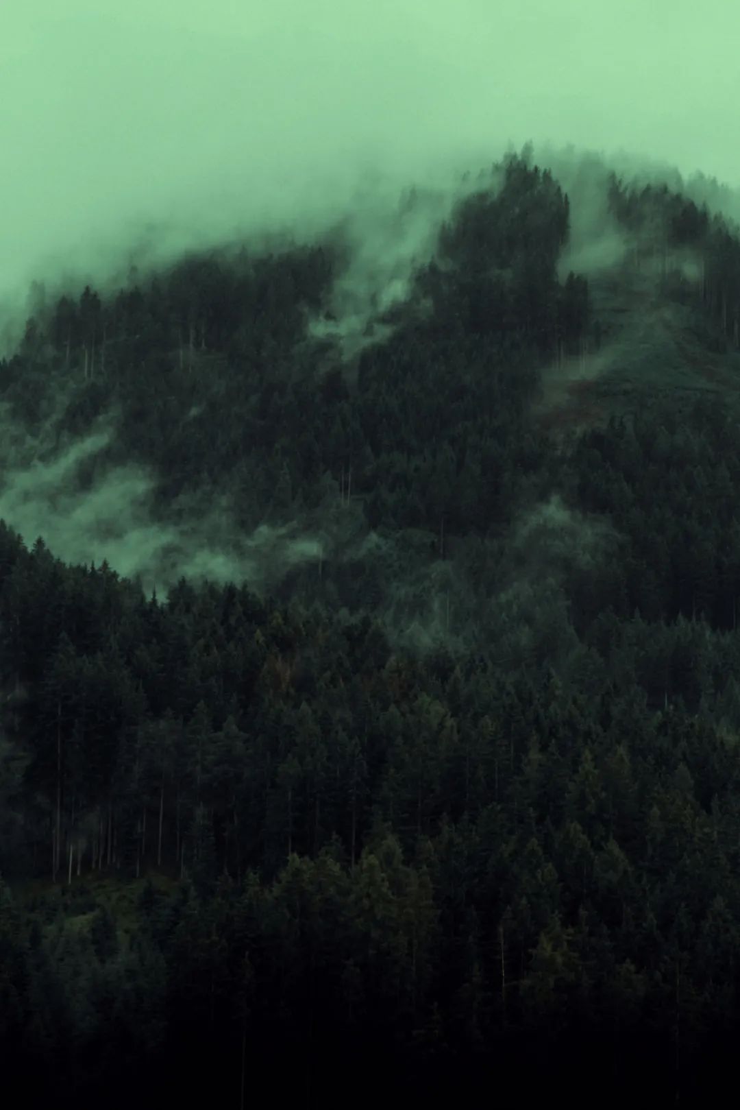 ins风暗黑图片,ins暗黑风格照