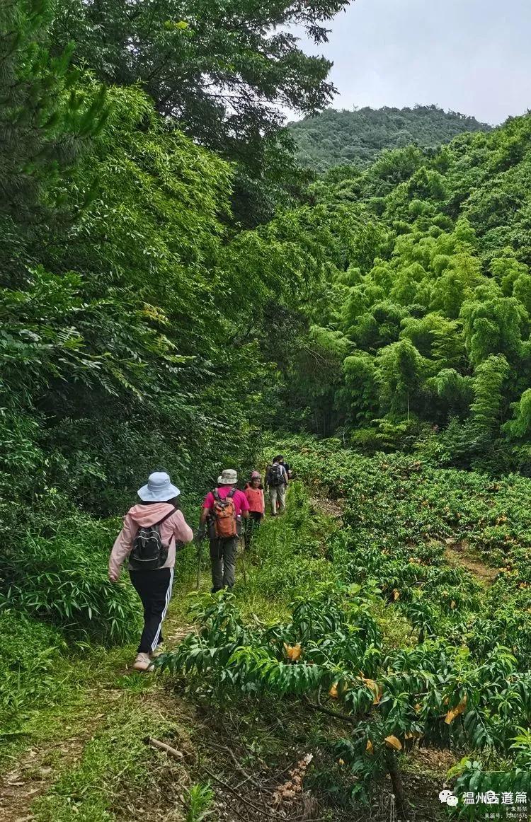新昌盐帮古道十八渡徒步时间,新昌盐帮古道旅游攻略