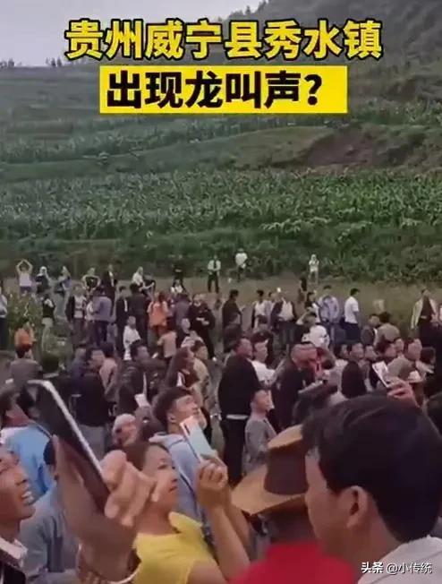 历史记载龙事件,古代真正见龙事件