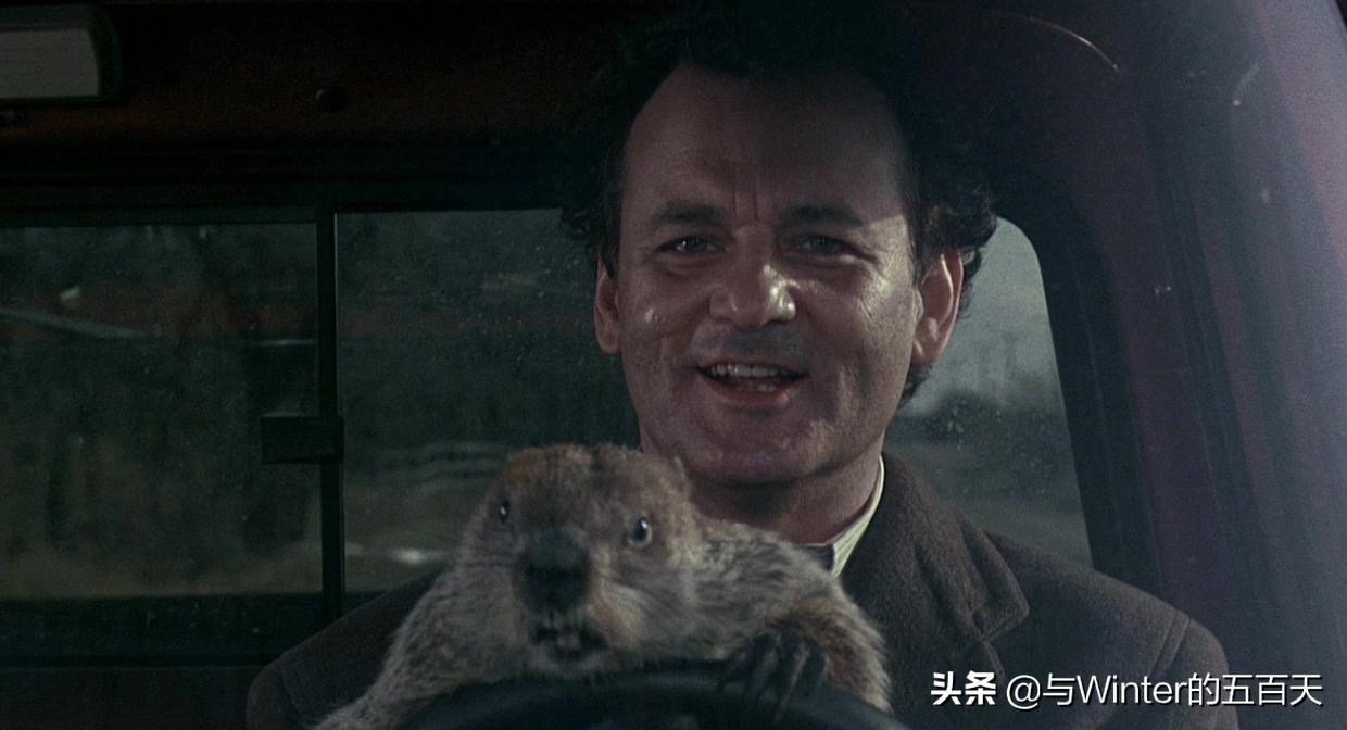 开心麻花沉浸式喜剧哪个好看,开心麻花喜剧技巧是什么