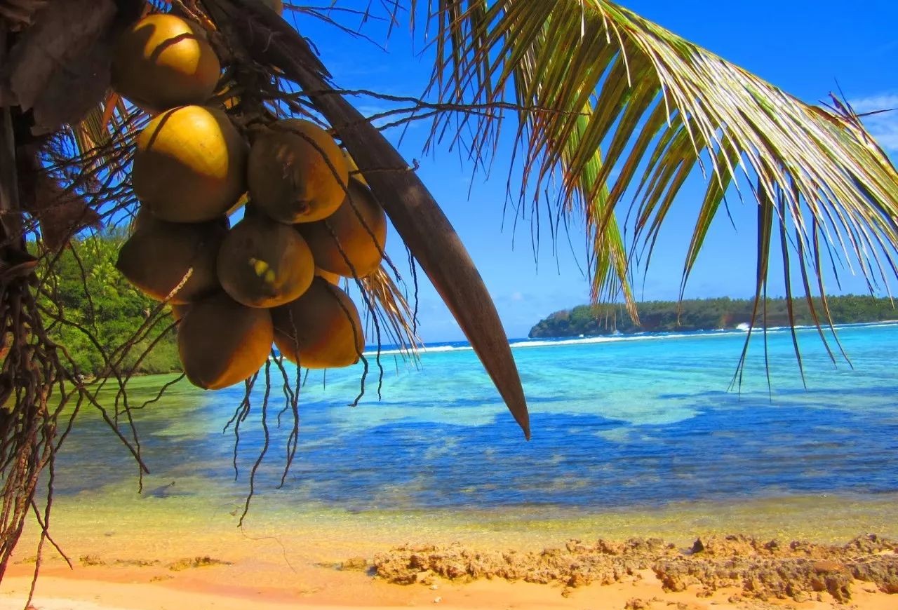 2019中国护照最新免签、落地签攻略，拎包就走！（上篇）