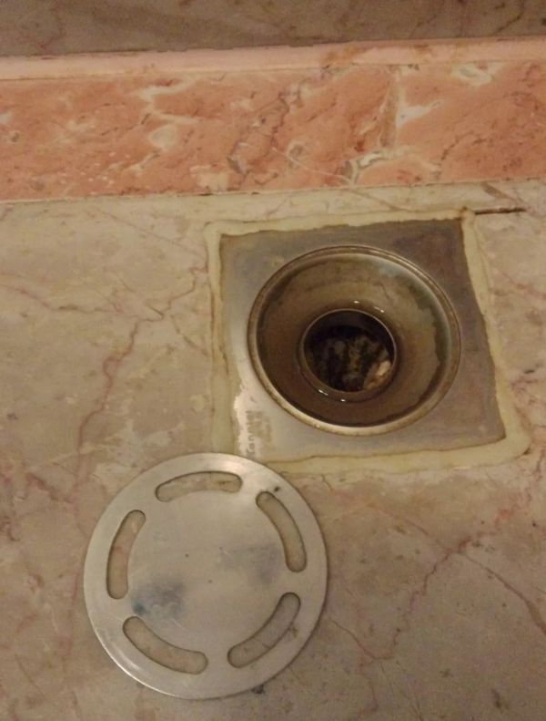 “下三路监理师”为您揭露呼吸真相——我们竟然一直被臭气熏陶