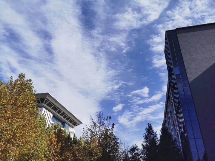 河南财经高校,河南财经政法大学11系