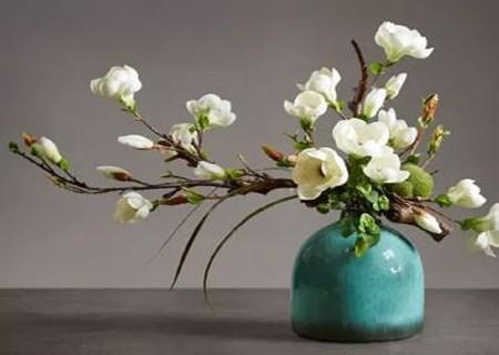 白兰花烂根治疗方法,白兰花烂根怎么办