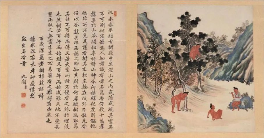 黎人采香,香文化是中国古代文化