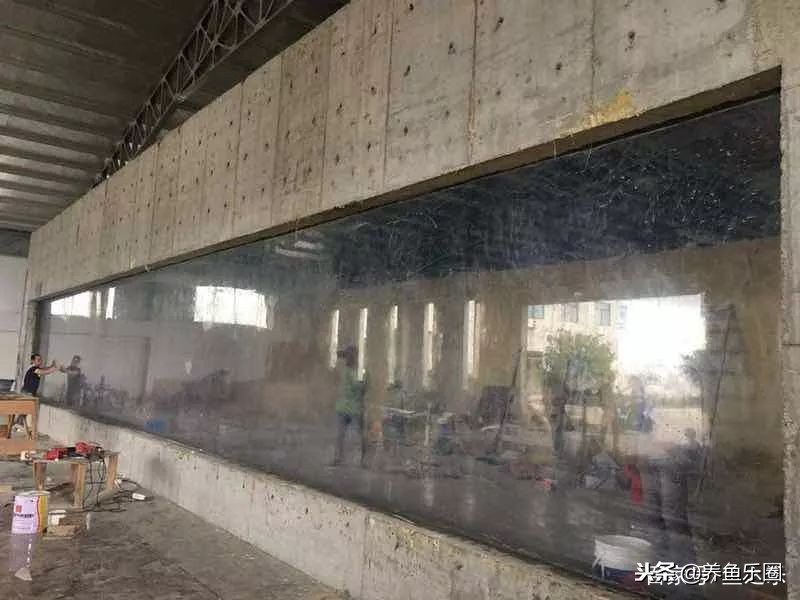 这位土豪家的渔场,光滤材就花了500多万,你确定不要见识一下?