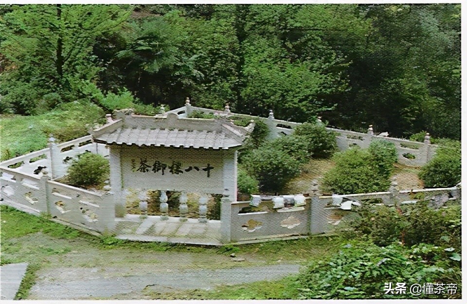 西湖龙井最全知识点,西湖龙井知识点大全