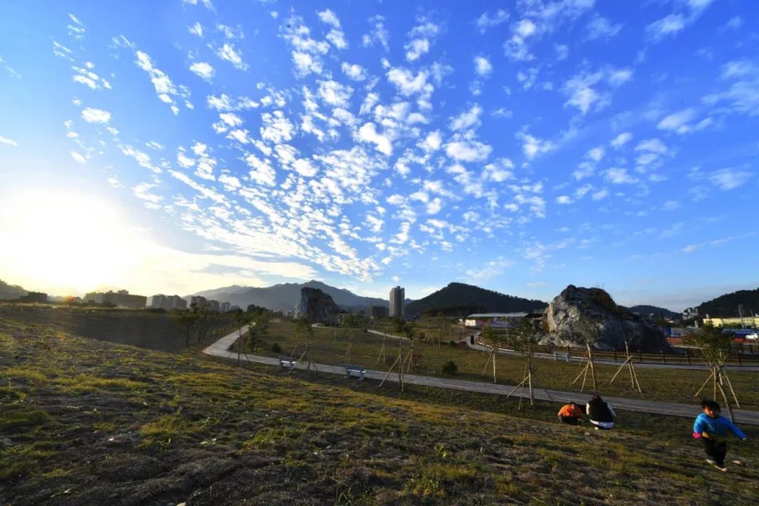 赏石艺、休闲游，这个体育公园都可以满足你！