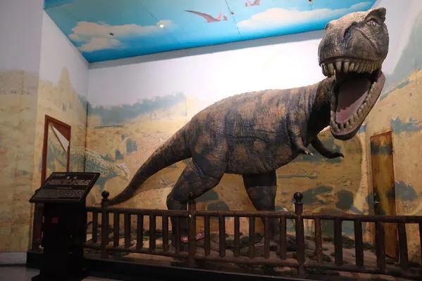 重庆綦江有什么避暑的地方,重庆綦江避暑地方有哪些