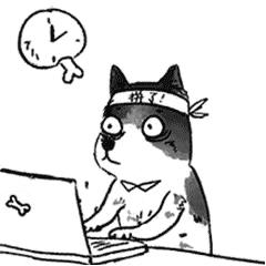 世界再大，也要回家！回家路漫漫其修远兮，春节抢票攻略