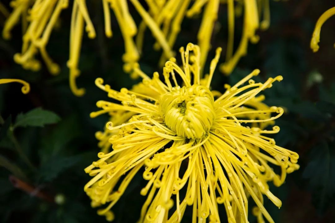 自拍达人全景,南宁自拍拍照博主