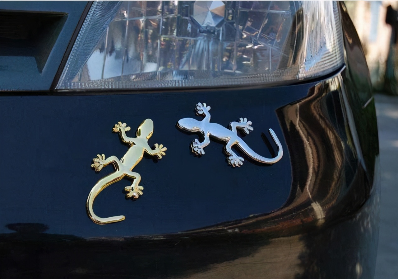 家里进四喜有什么说法,家中现四喜必定出能人