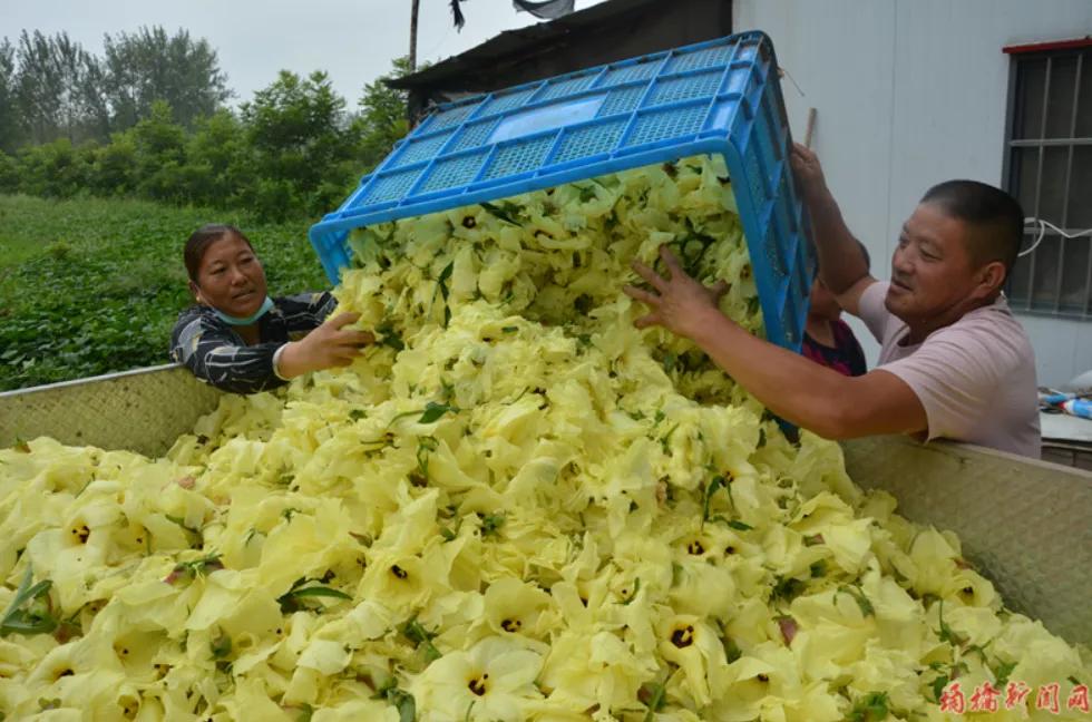 来赴一场雪乡长白山之约,来赴一场冬日的黄金之约