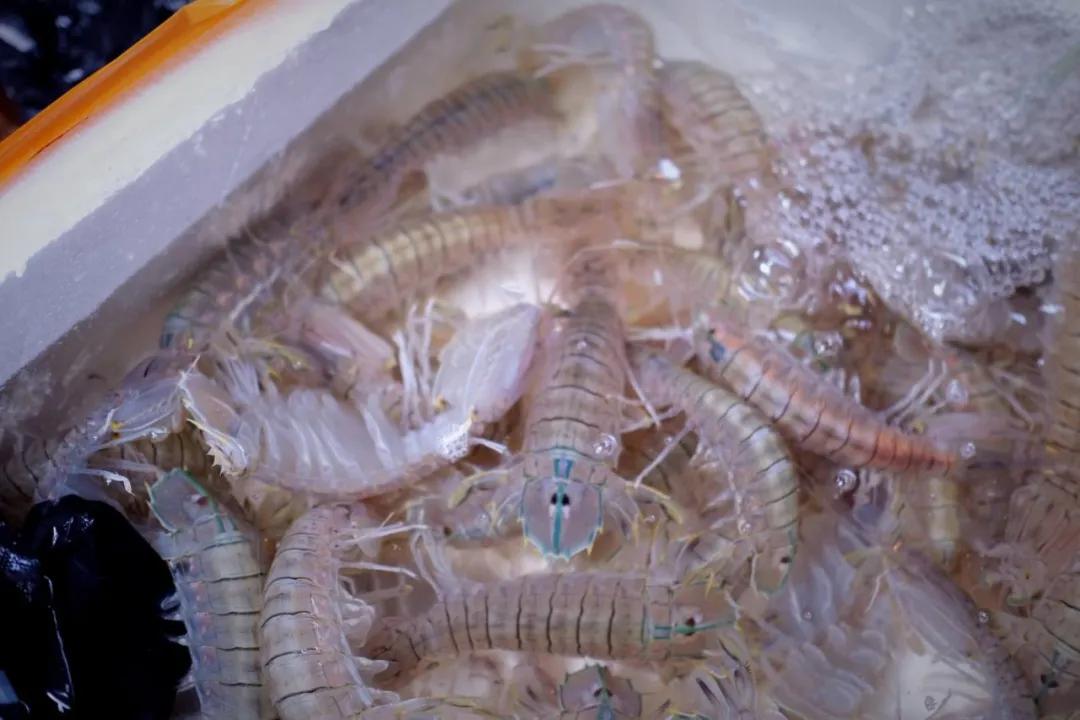 在海南岛最霸气的渔港码头,海南十大渔港码头