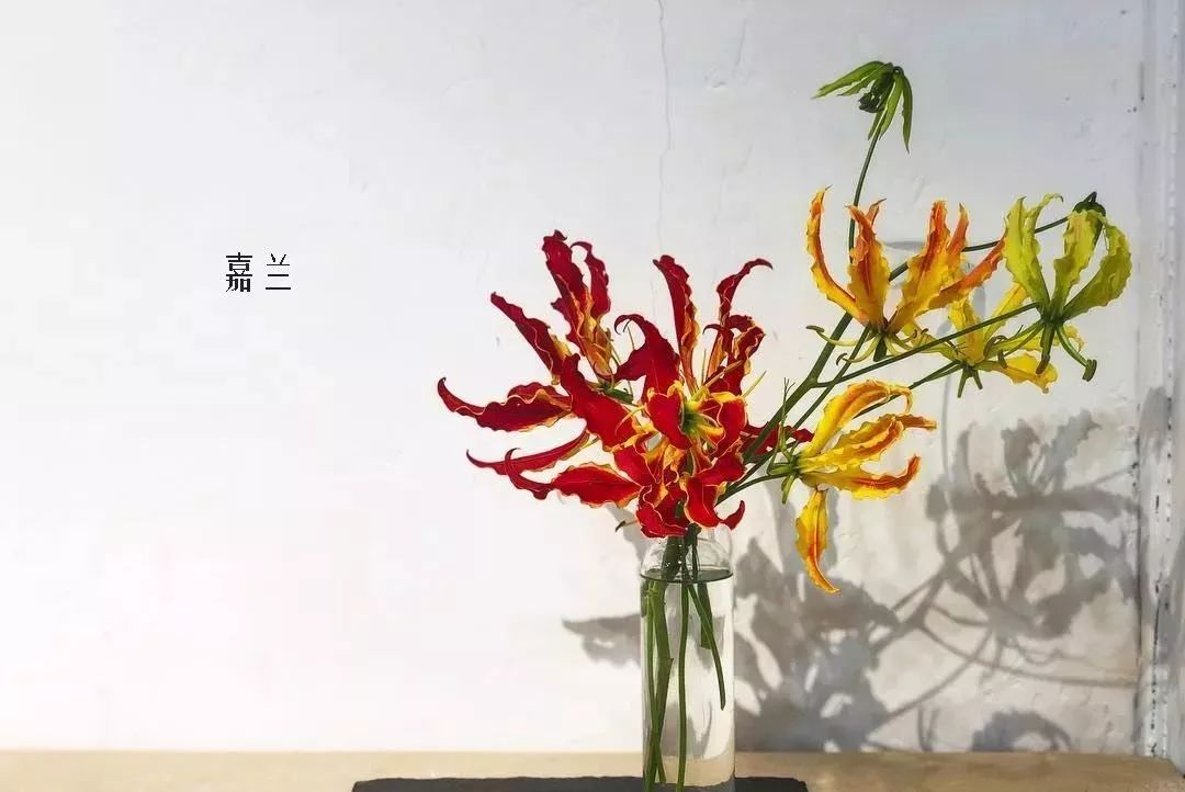 花店里同款的两种不同价格的花材,花店最容易被顾客误解的几种花材