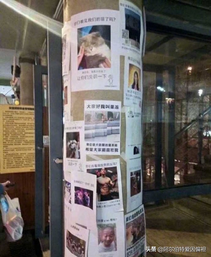 看广告的搞笑段子,电线杆广告搞笑段子