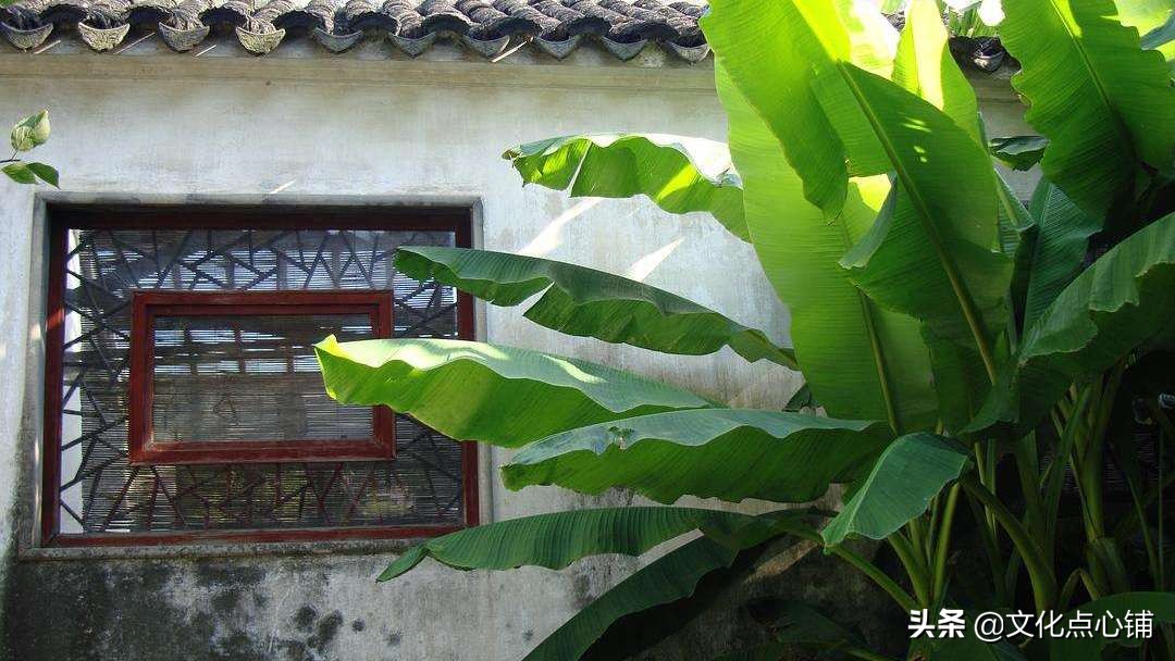 十首绝美相思诗,绝美相思情诗