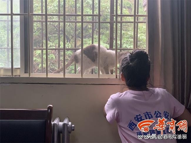 戒毒人员探访,一名吸毒者的心路历程